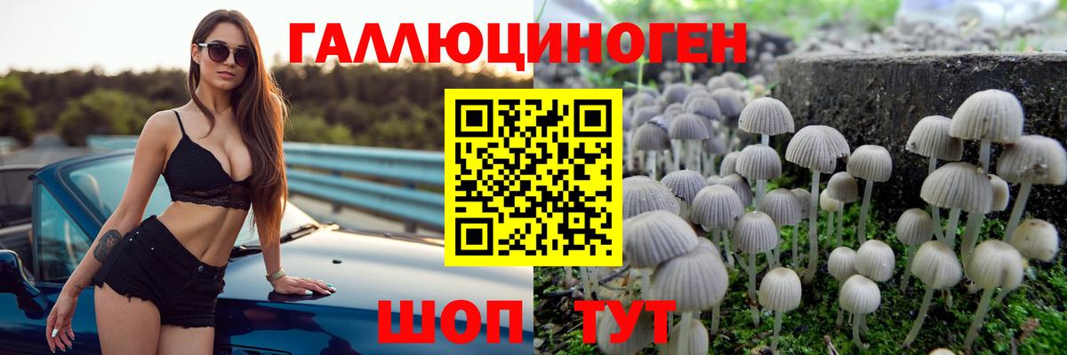 Галлюциногенные грибы прущие грибы  Вход с VPN  Лесозаводск 