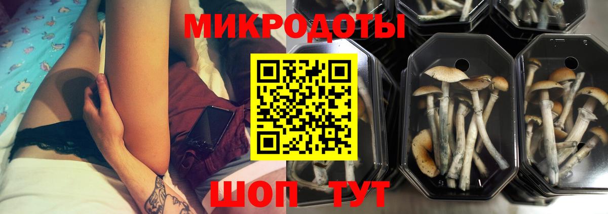 Галлюциногенные грибы мицелий Лесозаводск
